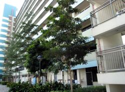 Rumah Tinggi View (D3), Shop House #454000451